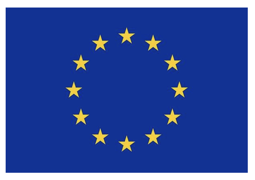 EU Logo